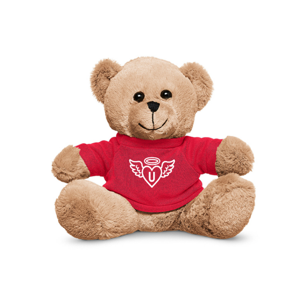 Bear Companion (Plush) — Comfort Tool for Stress, Anxiety & Grounding