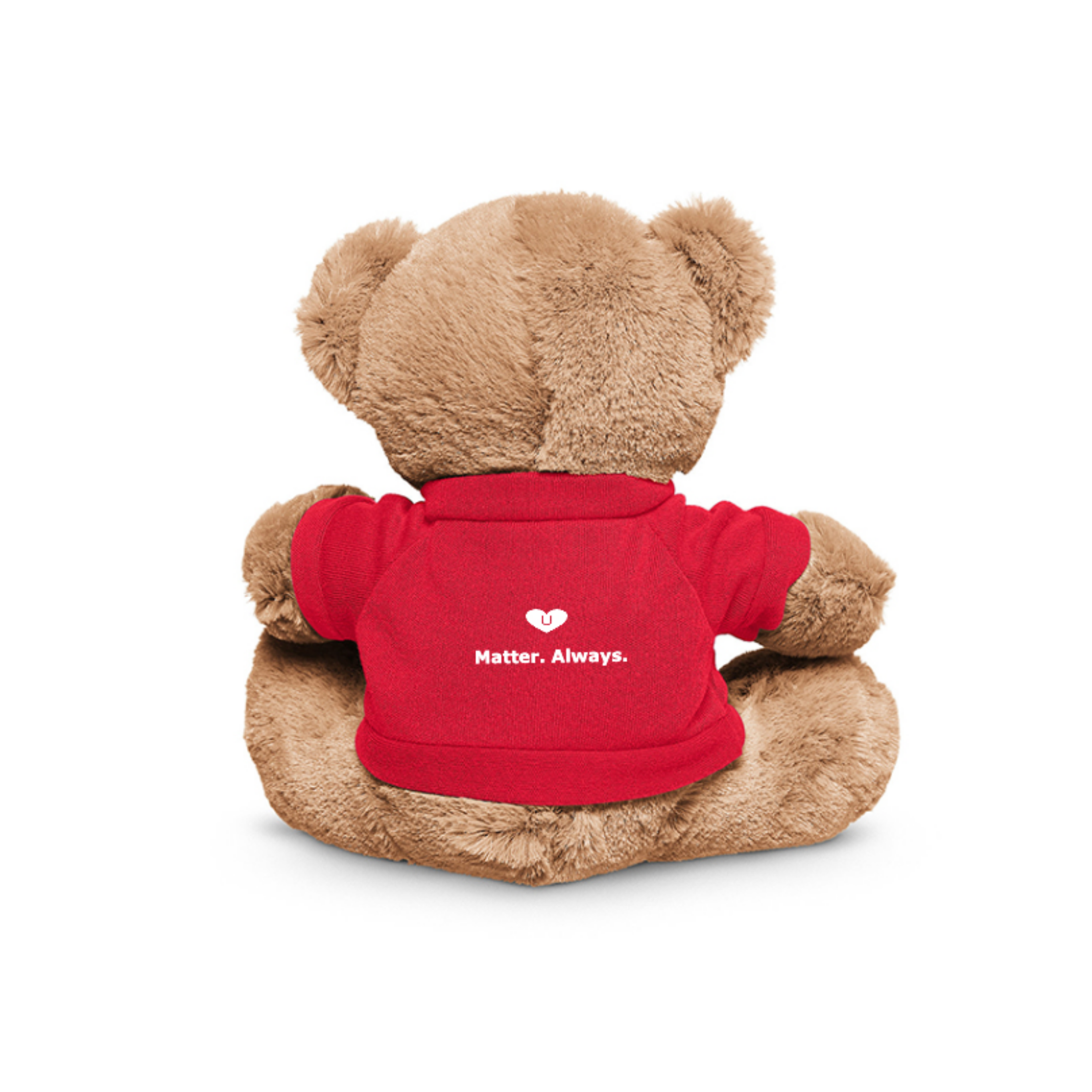 Bear Companion (Plush) — Comfort Tool for Stress, Anxiety & Grounding
